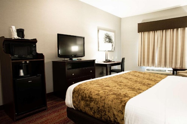 Best Western Providence-Seekonk Inn image 21